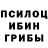 Псилоцибиновые грибы Cubensis mis respetos